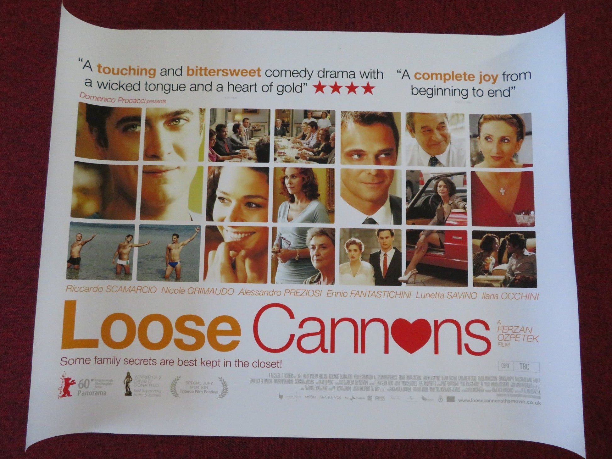LOOSE CANNONS UK QUAD (30"x 40") ROLLED POSTER RICCARDO SCAMARCIO N.GRIMAUD 2010 Rendezvous Cinema Movie posters