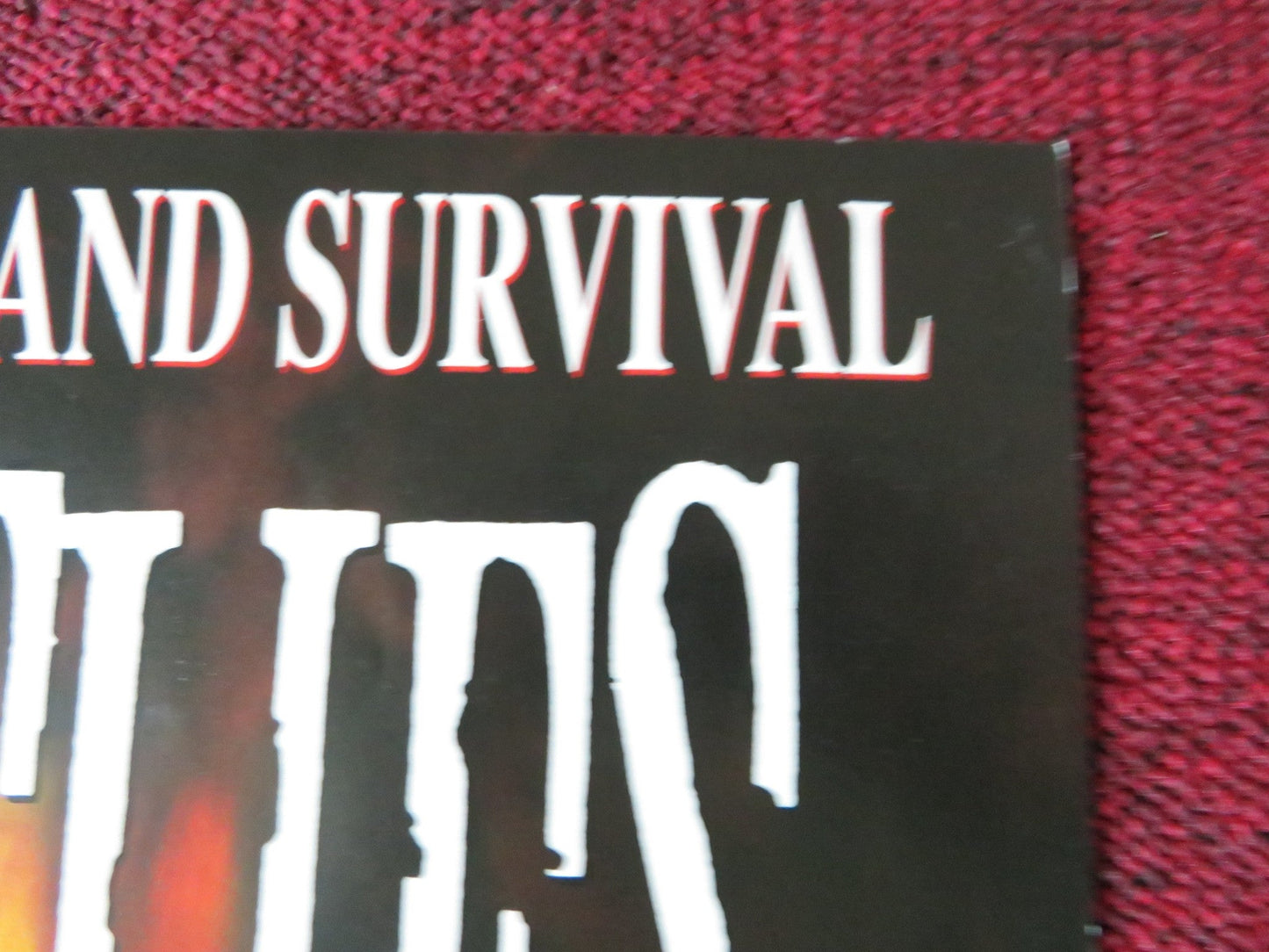 LORD OF THE FLIES VHS VIDEO POSTER FOLDED HARRY HOOK 1990 Rendezvous Cinema Movie posters