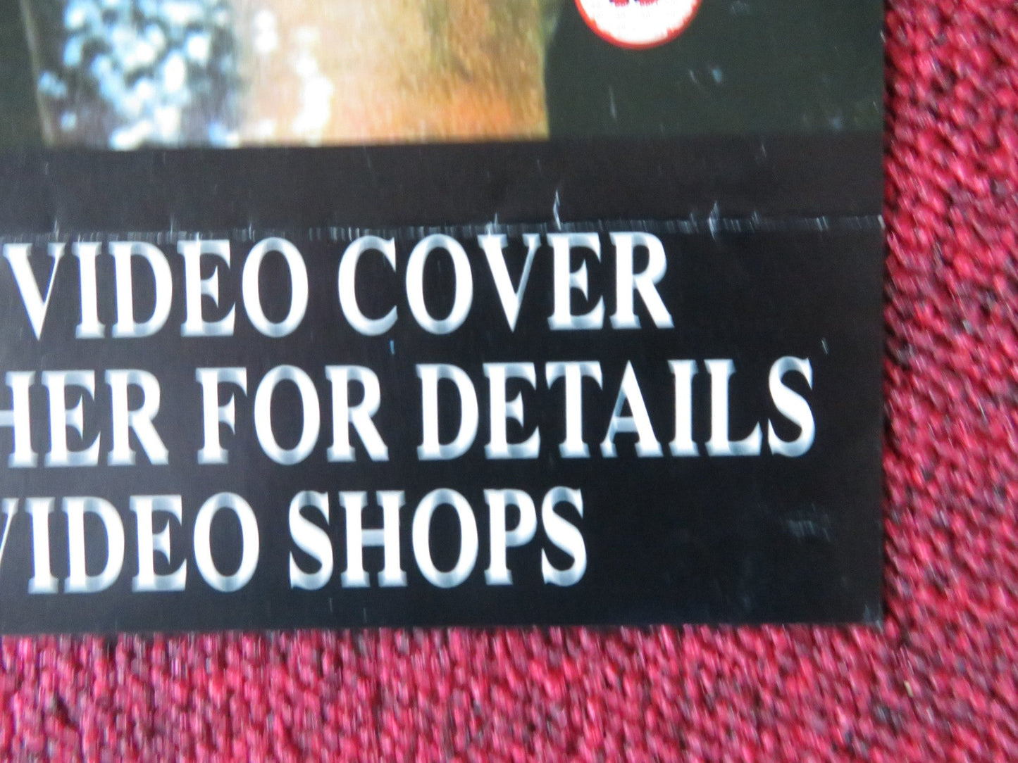 LORD OF THE FLIES VHS VIDEO POSTER FOLDED HARRY HOOK 1990 Rendezvous Cinema Movie posters