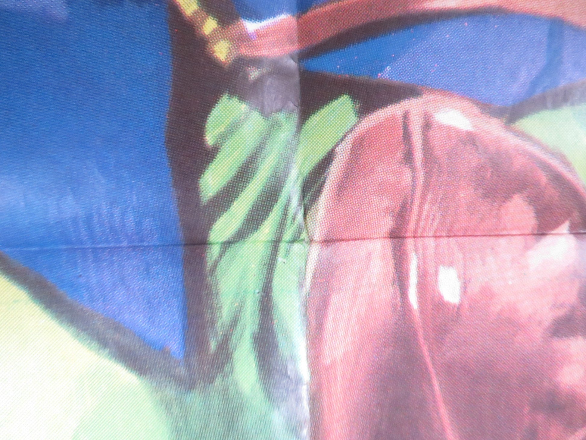 LOS CARSARIOS - A ITALIAN 2 FOGLIO POSTER DEAN REED ALBERTO DE MENDOZA 1971 Rendezvous Cinema Movie posters