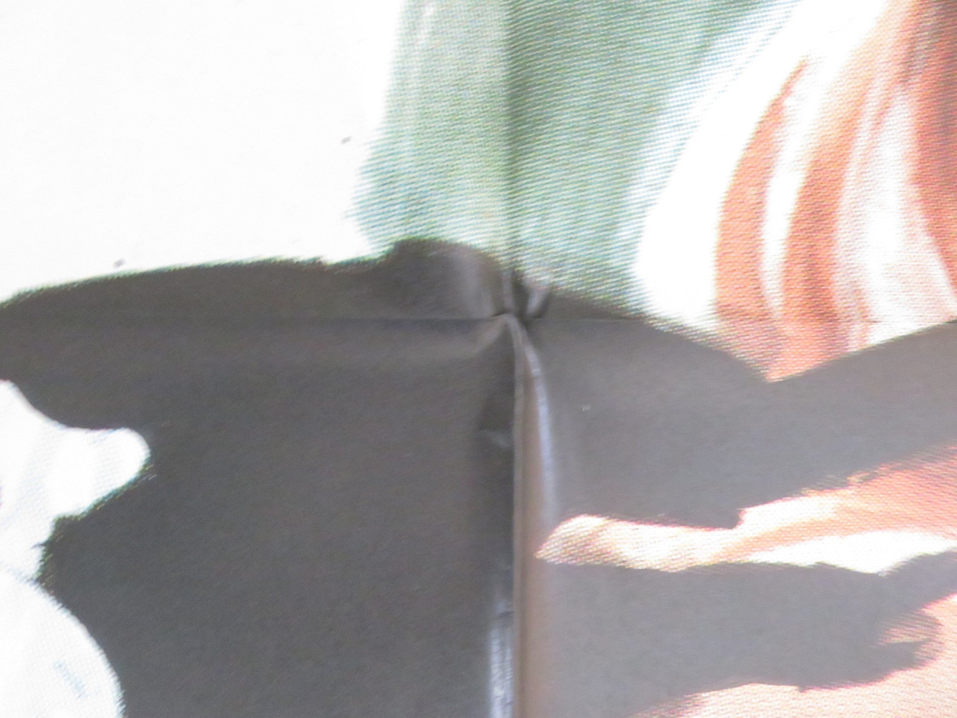 LOS CARSARIOS - B ITALIAN 2 FOGLIO POSTER DEAN REED ALBERTO DE MENDOZA 1971 Rendezvous Cinema Movie posters