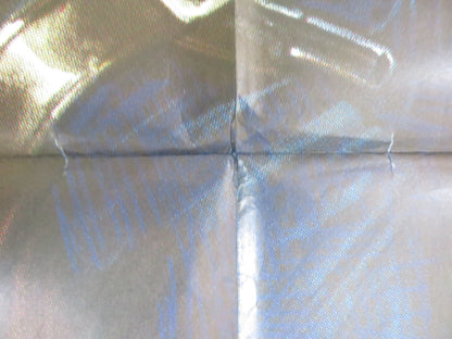 LOS CARSARIOS - B ITALIAN 2 FOGLIO POSTER DEAN REED ALBERTO DE MENDOZA 1971 Rendezvous Cinema Movie posters