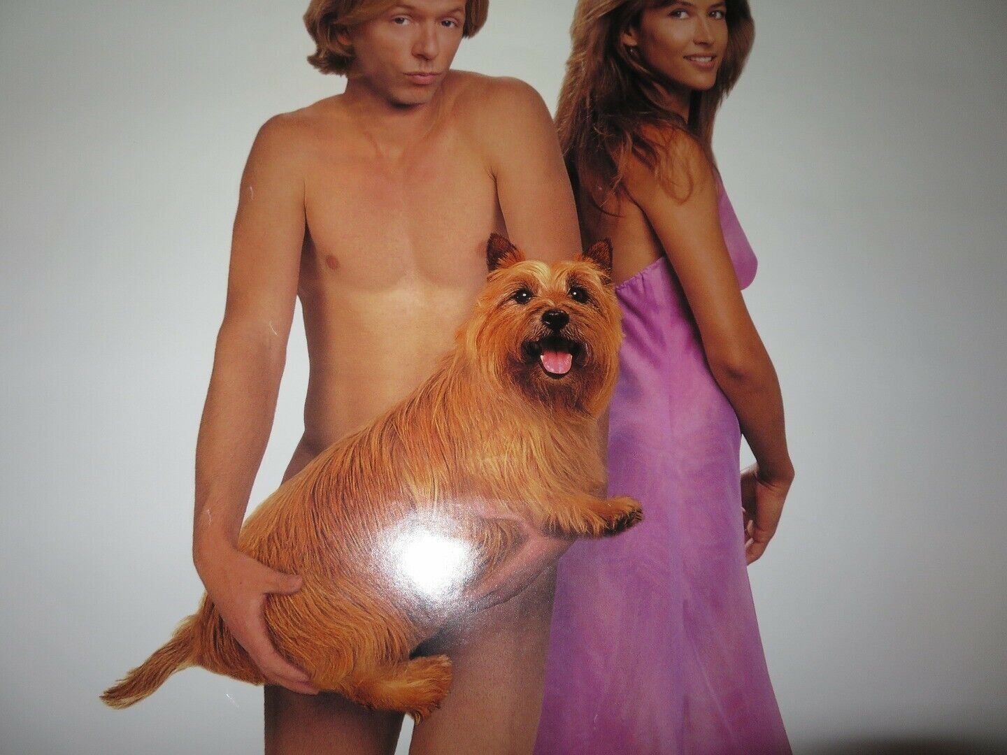 LOST & FOUND US ONE SHEET ROLLED POSTER DAVID SPADE SOPHIE MARCEAU '99 Rendezvous Cinema Movie posters