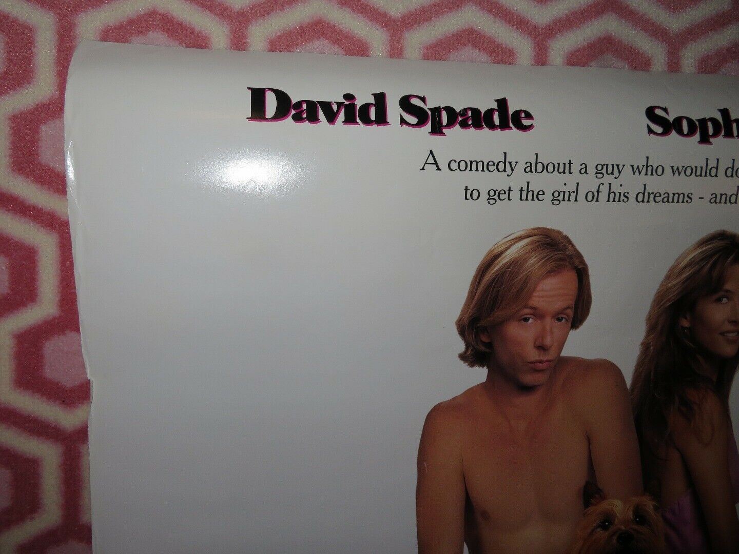 LOST & FOUND US ONE SHEET ROLLED POSTER DAVID SPADE SOPHIE MARCEAU '99 Rendezvous Cinema Movie posters