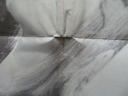 LOVE AND LARCENY FOLDED US ONE SHEET POSTER VITTORIO GASSMAN 1960 Movie posters