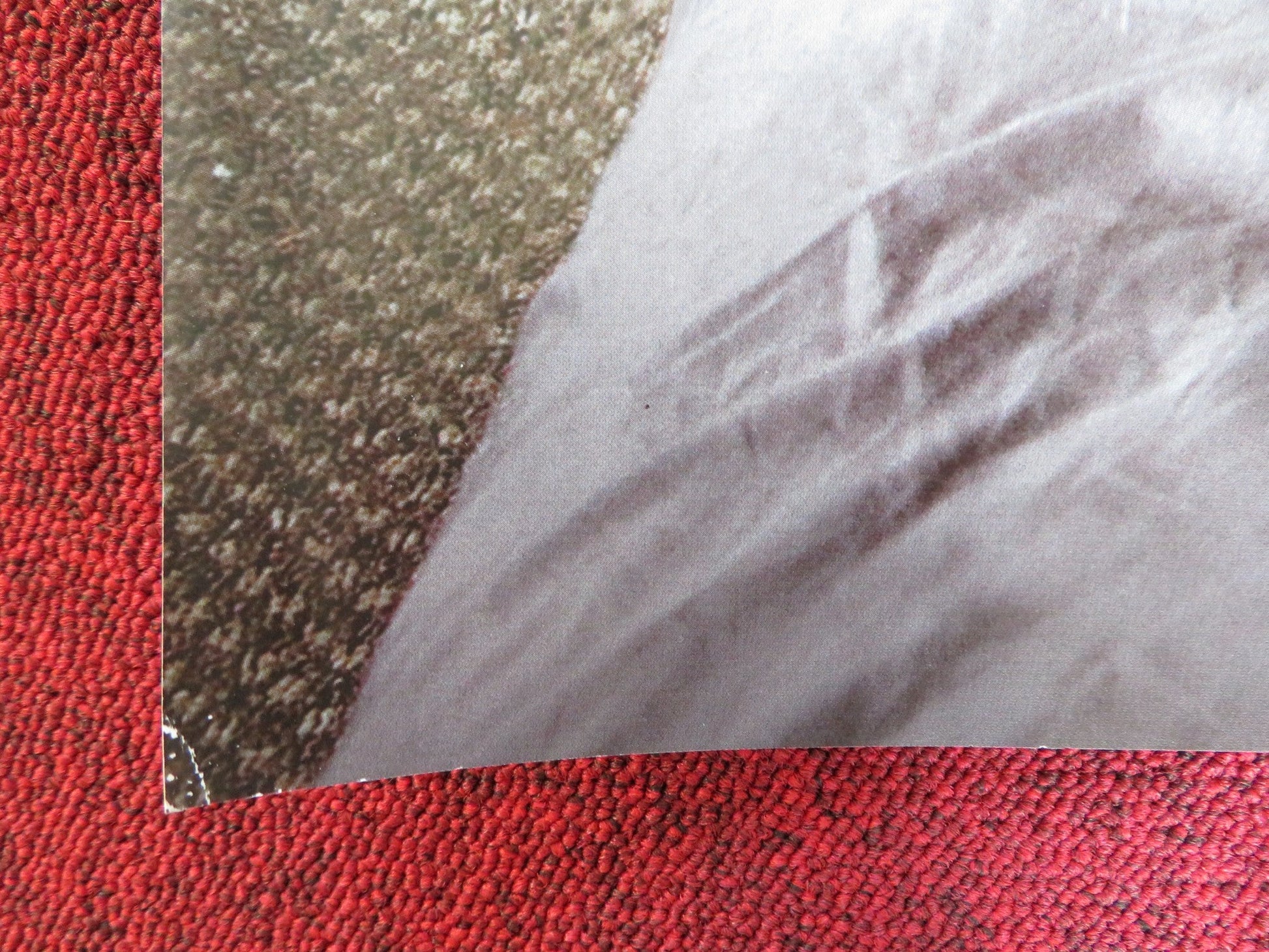 LOVE AND OTHER DRUGS UK QUAD (30"x 40") ROLLED POSTER JAKE GYLLENHAAL 2010 Rendezvous Cinema Movie posters