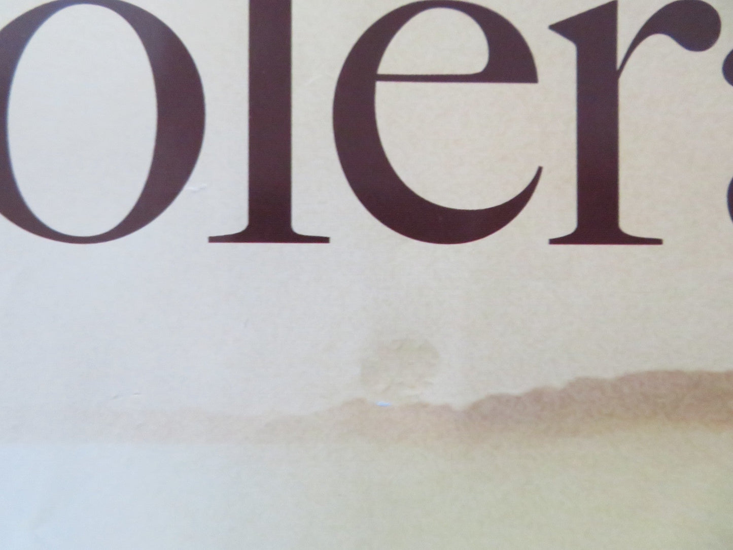 LOVE IN THE TIME OF CHOLERA UK QUAD (30"x 40") ROLLED POSTER JAVIER BARDEM 2007 Rendezvous Cinema Movie posters