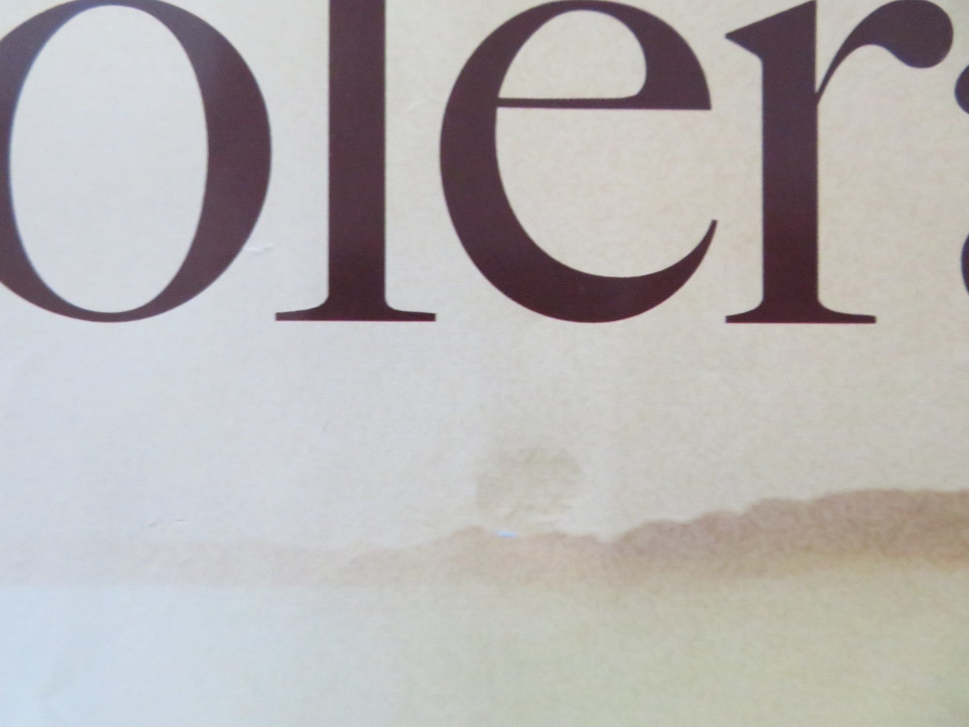 LOVE IN THE TIME OF CHOLERA UK QUAD (30"x 40") ROLLED POSTER JAVIER BARDEM 2007 Rendezvous Cinema Movie posters