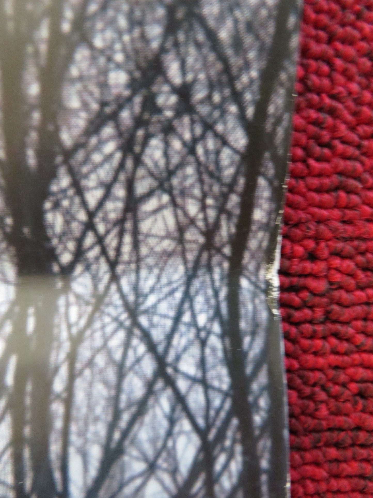 LOVELESS ITALIAN LOCANDINA POSTER MARYANA SPIVAK ALEKSEY ROZIN 2017 Rendezvous Cinema Movie posters