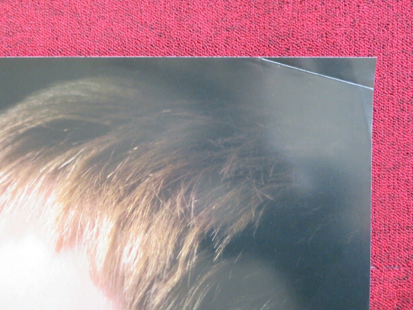 LOVELESS US ONE SHEET ROLLED POSTER ANDREY ZVYAGINTSEV 2017 Movie posters