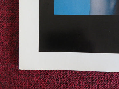 LUNA US HALF SHEET (22"x 28") POSTER JILL CLAYBURGH MATTHEW BARRY 1979 Rendezvous Cinema Movie posters