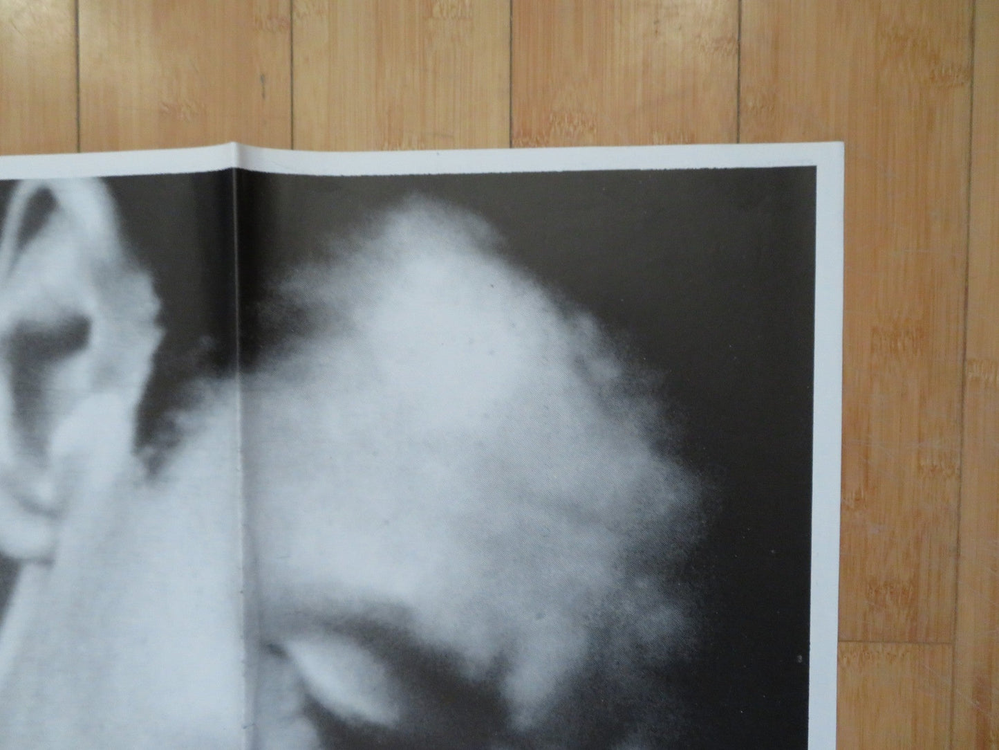 LYLE LOVETT AND HIS LARGE BAND JUNE 12TH HAMMERSMITH ODEON 4 SHEET UK POSTER Rendezvous Cinema Movie posters