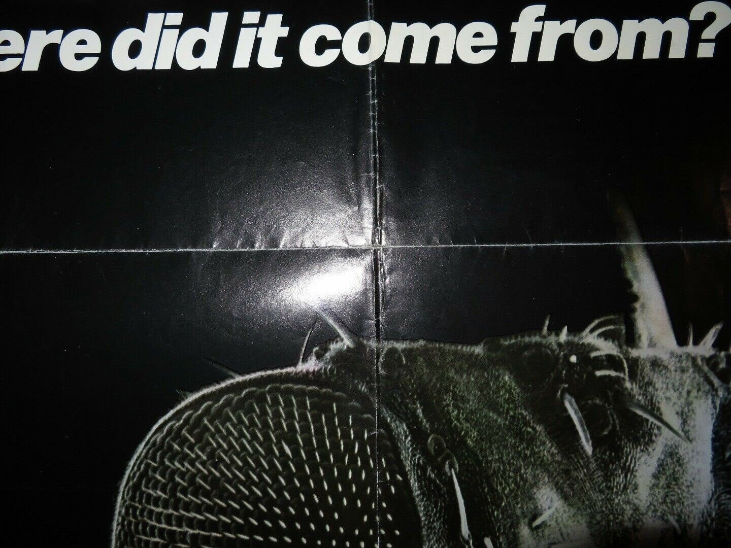 M=3: THE GEMINI STRAIN / Plague US ONE SHEET POSTER DANIEL PILON 1979 Movie posters