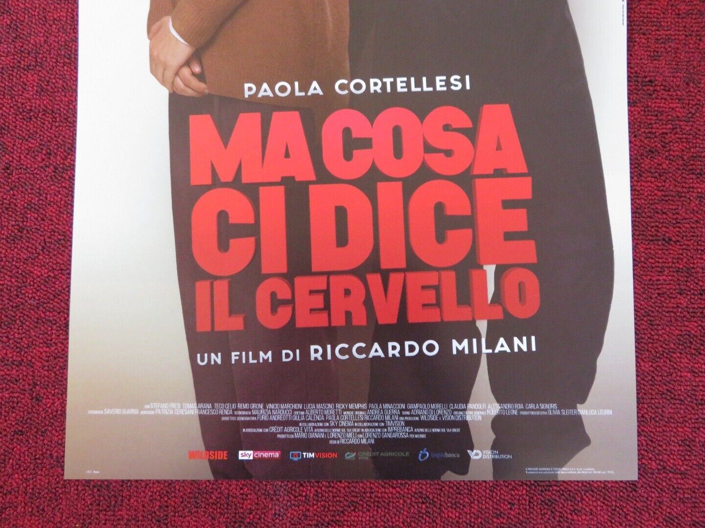 MA COSA CI DICE IL CERVELLO ITALIAN LOCANDINA (26.5"x12.5") POSTER 2019 Rendezvous Cinema Movie posters
