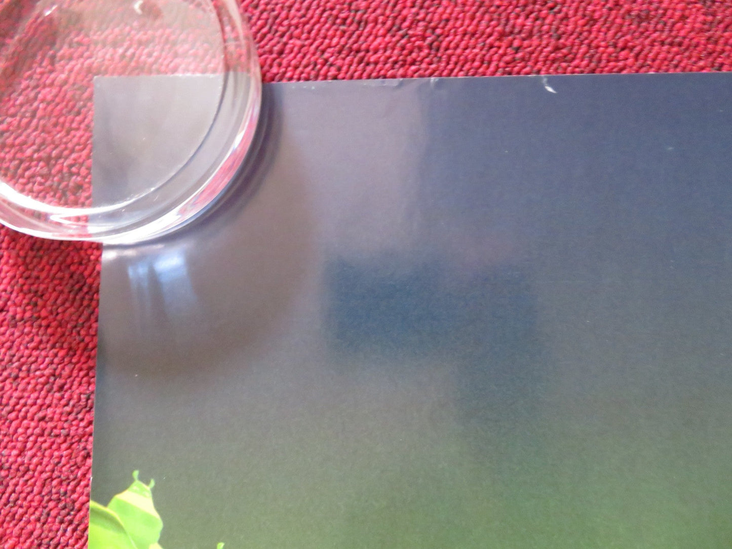 MADAGASCAR: ESCAPE 2 AFRICA - B UK QUAD ROLLED POSTER BEN STILLER CHRIS ROCK 2008 Rendezvous Cinema Movie posters