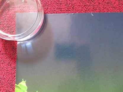 MADAGASCAR: ESCAPE 2 AFRICA - B UK QUAD ROLLED POSTER BEN STILLER CHRIS ROCK 2008 Rendezvous Cinema Movie posters