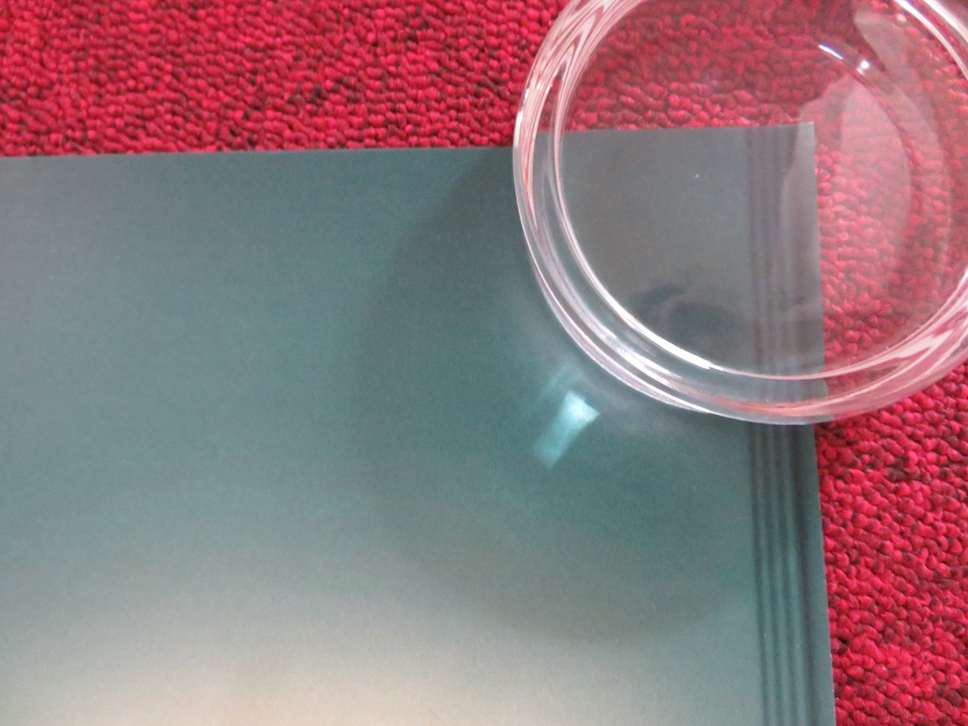 MADAME UK QUAD ROLLED POSTER TONI COLLETTE HARVEY KEITEL 2017 Rendezvous Cinema Movie posters