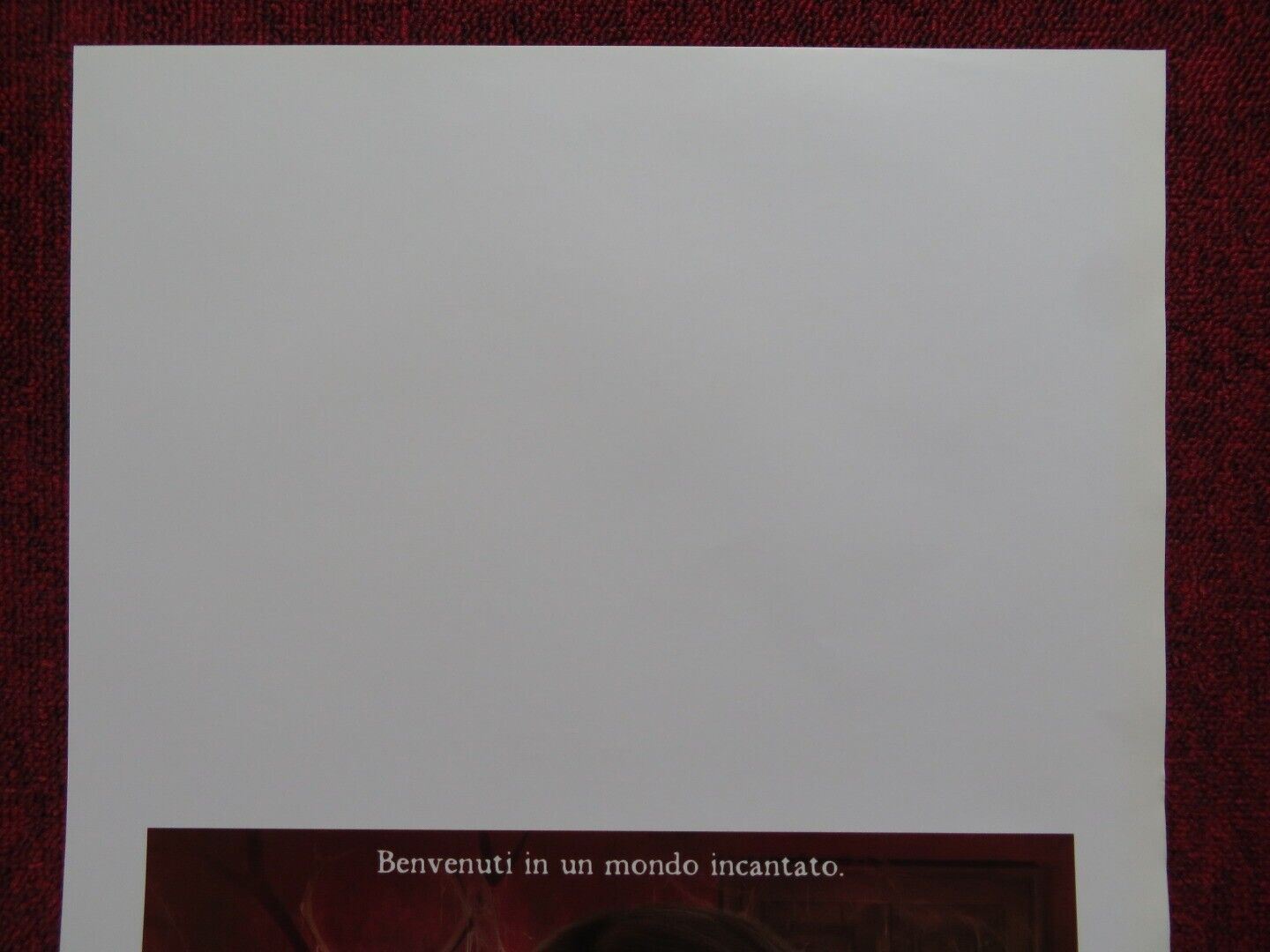 MAGA MARTINA ITALIAN LOCANDINA (27.5"x13") POSTER DISNEY ALINA FREUND 2009 - Rendezvous Cinema