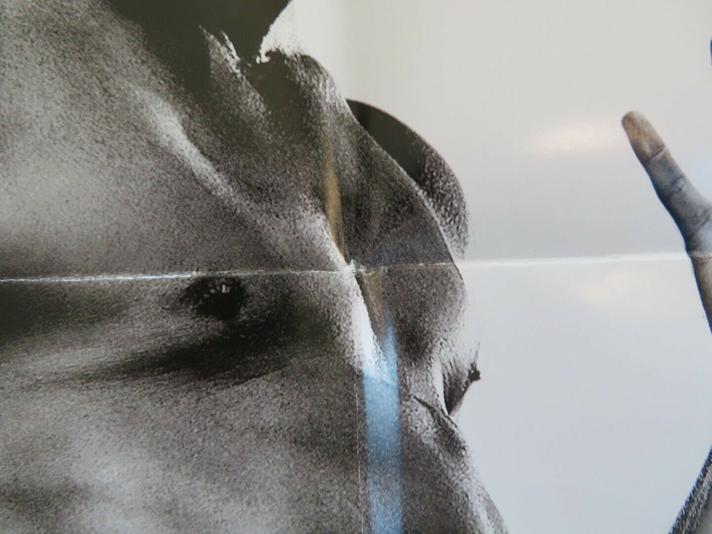 MAGIC MIKE XXL FOLDED US ONE SHEET POSTER CHANNING TATUM 2015 Movie posters