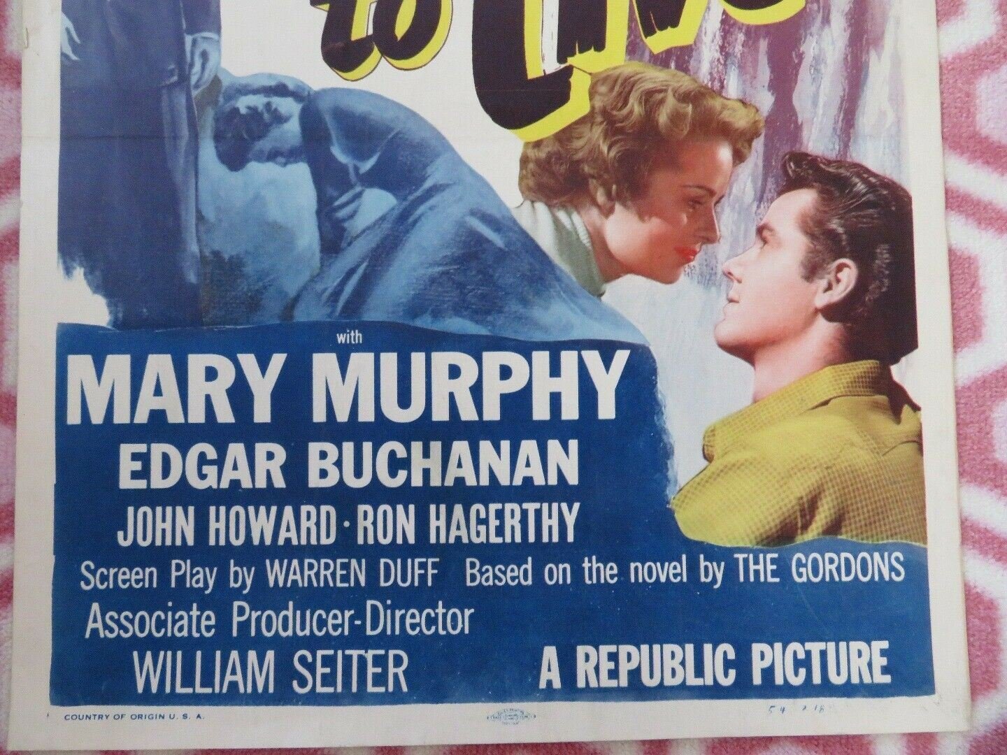 MAKE HASTE TO LIVE US INSERT (14"x 36") POSTER DOROTHY MCGUIRE 1954 - Rendezvous Cinema