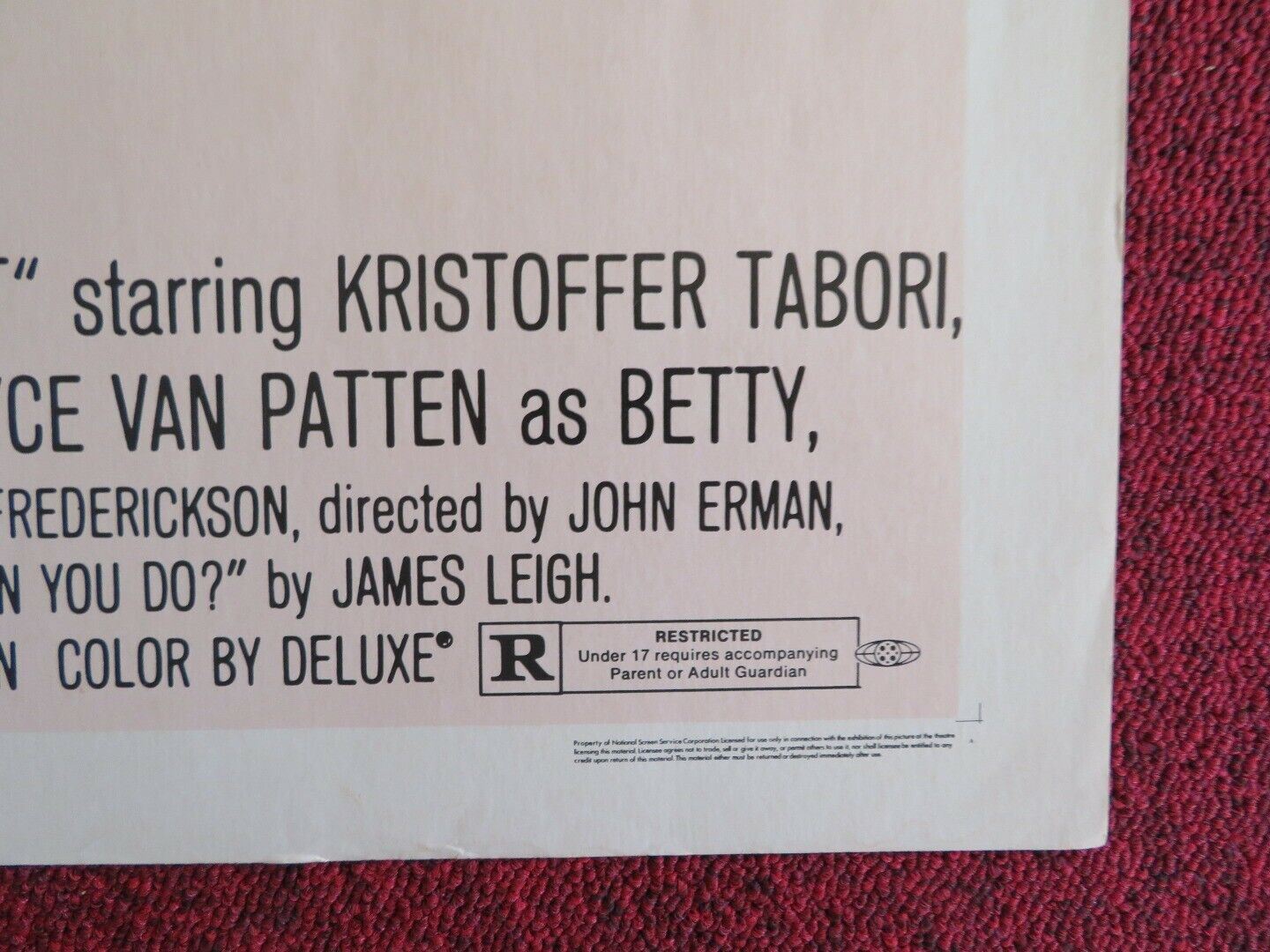 MAKING IT US HALF SHEET (22"x 28") POSTER KRISTOFFER TABORI 1971 - Rendezvous Cinema