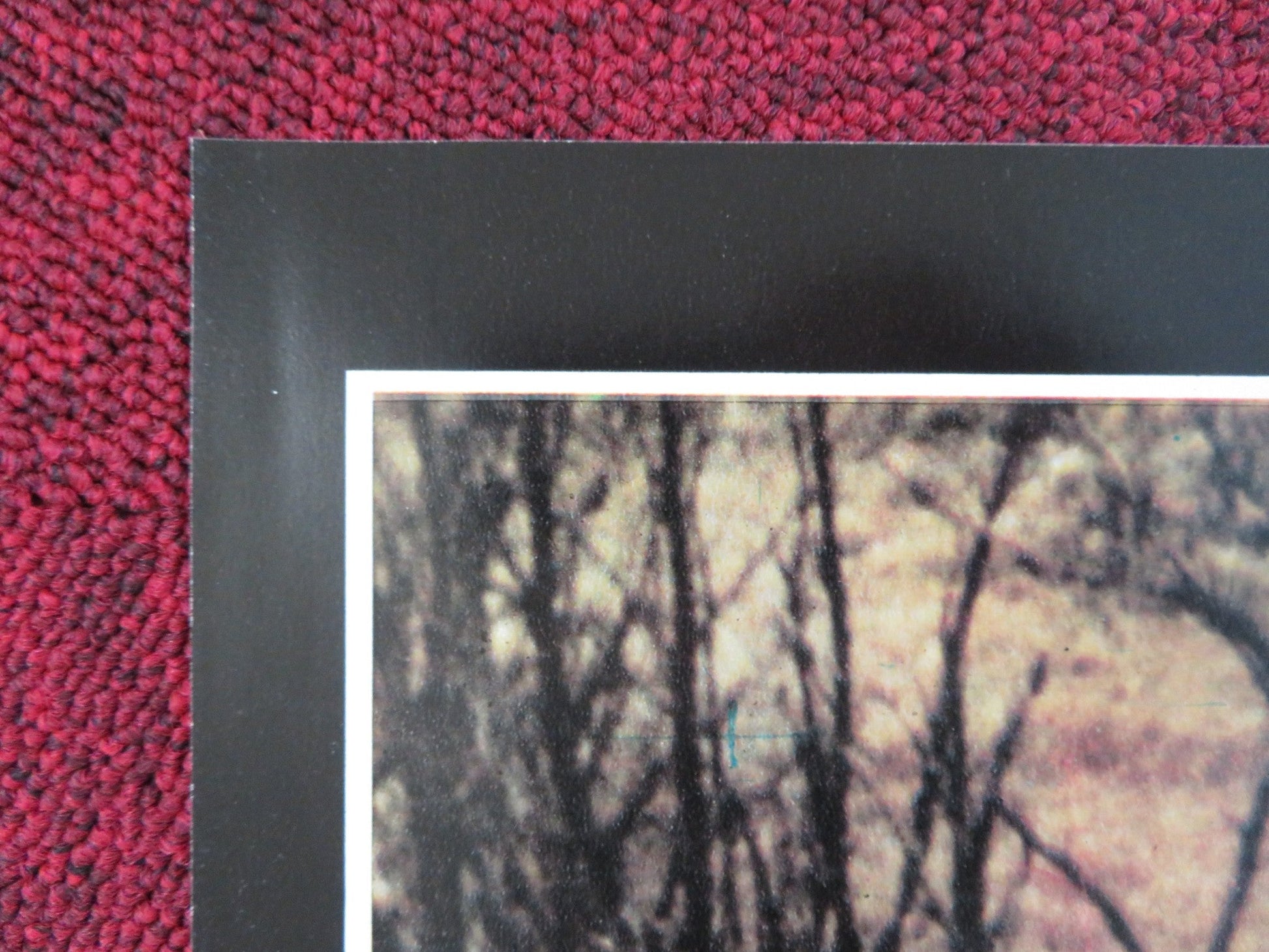 MALEVIL - G ITALIAN FOTOBUSTA POSTER MICHEL SERRAULT JACQUES DUTRONC 1981 Rendezvous Cinema Movie posters