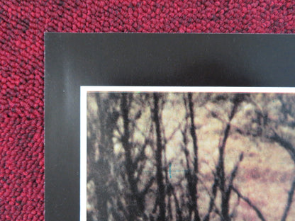 MALEVIL - G ITALIAN FOTOBUSTA POSTER MICHEL SERRAULT JACQUES DUTRONC 1981 Rendezvous Cinema Movie posters