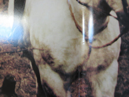 MALEVIL - G ITALIAN FOTOBUSTA POSTER MICHEL SERRAULT JACQUES DUTRONC 1981 Rendezvous Cinema Movie posters