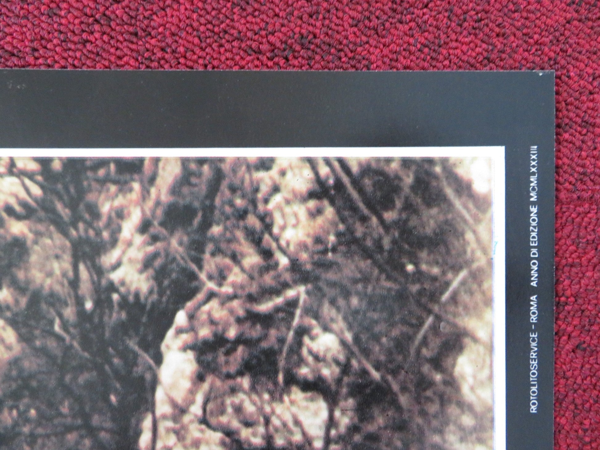 MALEVIL - G ITALIAN FOTOBUSTA POSTER MICHEL SERRAULT JACQUES DUTRONC 1981 Rendezvous Cinema Movie posters