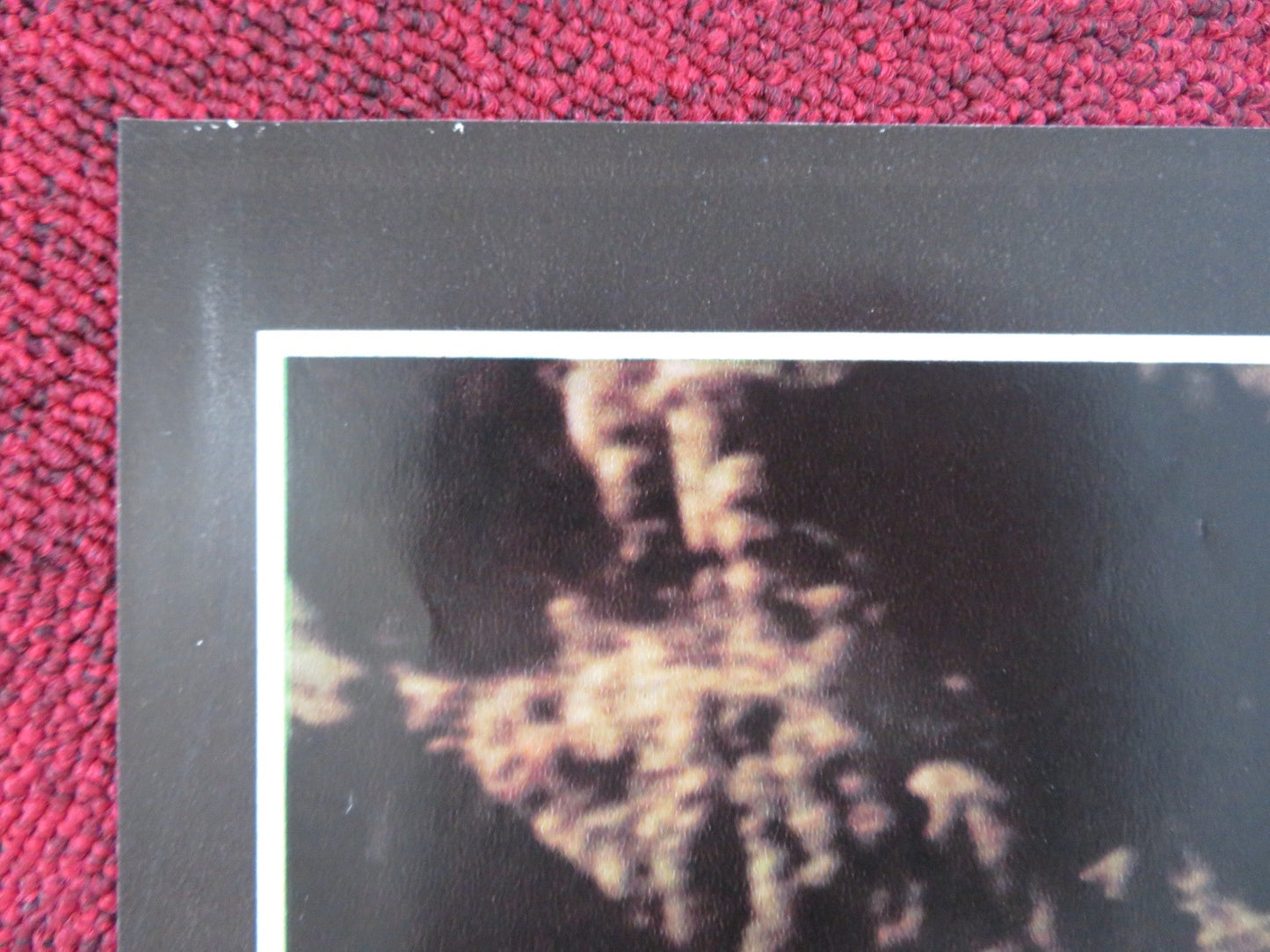 MALEVIL - H ITALIAN FOTOBUSTA POSTER MICHEL SERRAULT JACQUES DUTRONC 1981 Rendezvous Cinema Movie posters