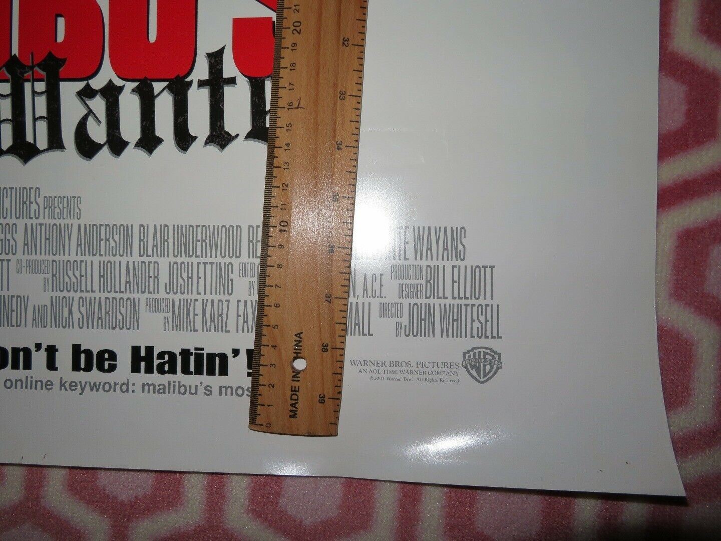 MALIBU'S MOST WANTED US ROLLED POSTER SNOOP DOGG JAMIE KENNEDY 2003 Movie posters