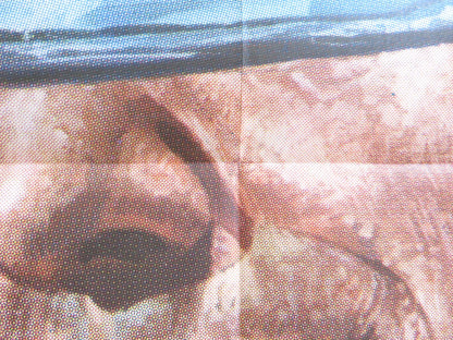 MAMMA.. LI TURCHI! ITALIAN 2 FOGLIO POSTER ORESTE LIONELLO PIA GIANCARO 1973 Rendezvous Cinema Movie posters