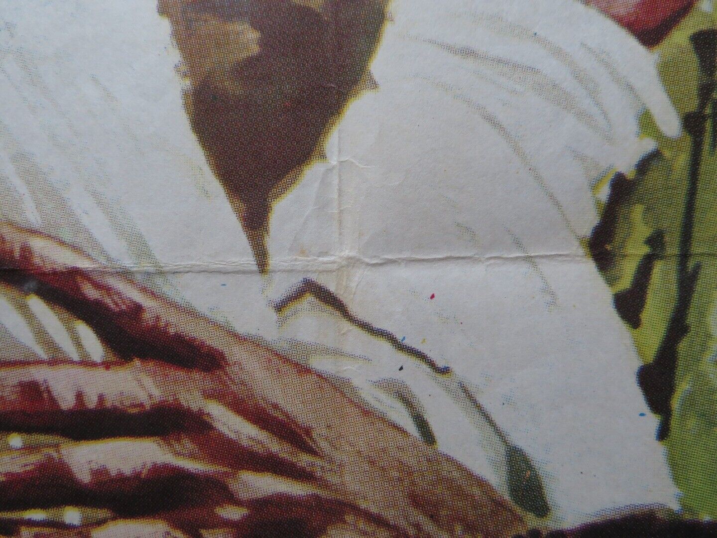 MANDINGO SPANISH ROLLED POSTER JAMES MASON SUSAN GEORGE 1975 Movie posters