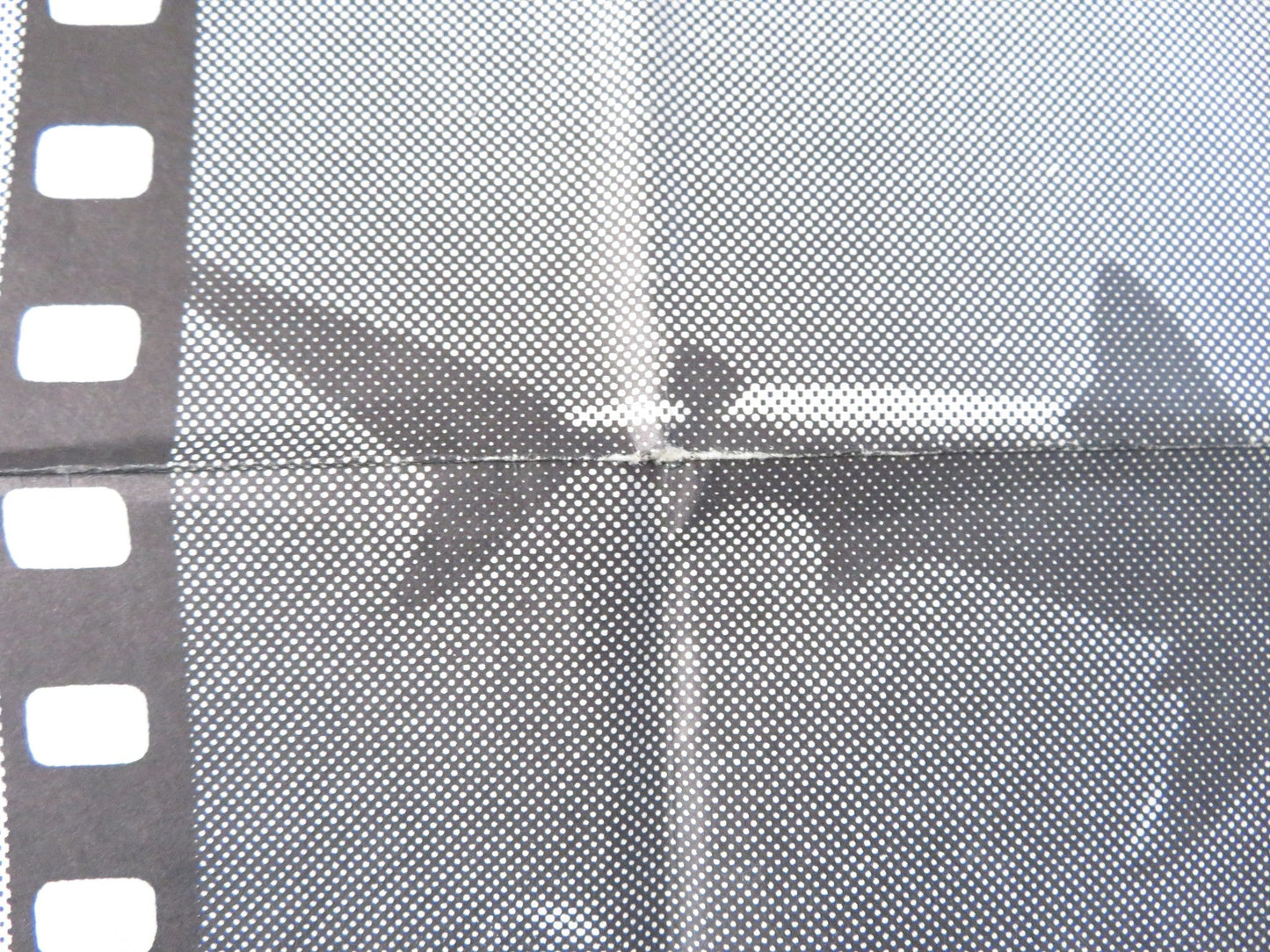 MANEATER / SHARK FOLDED US ONE SHEET POSTER BURT REYNOLDS ARTHUR KENNEDY 1969 Rendezvous Cinema Movie posters