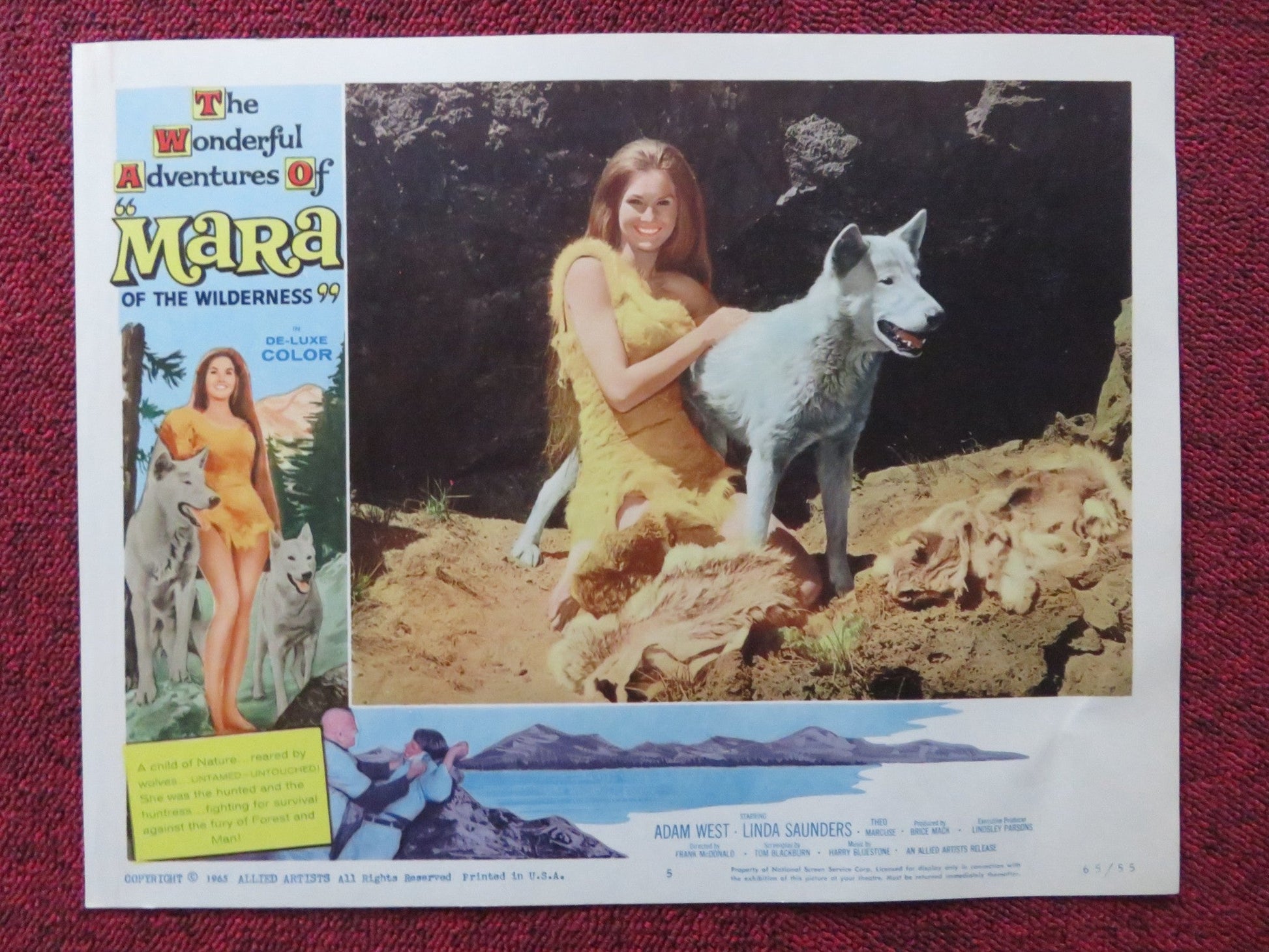 MARA OF THE WILDERNESS US LOBBY CARD SET LORI SAUNDERS ADAM WEST 1965 Rendezvous Cinema Movie posters