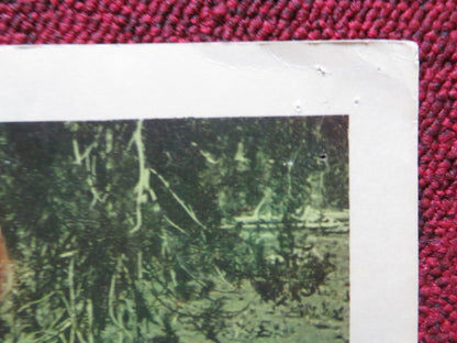 MARA OF THE WILDERNESS US LOBBY CARD SET LORI SAUNDERS ADAM WEST 1965 Rendezvous Cinema Movie posters