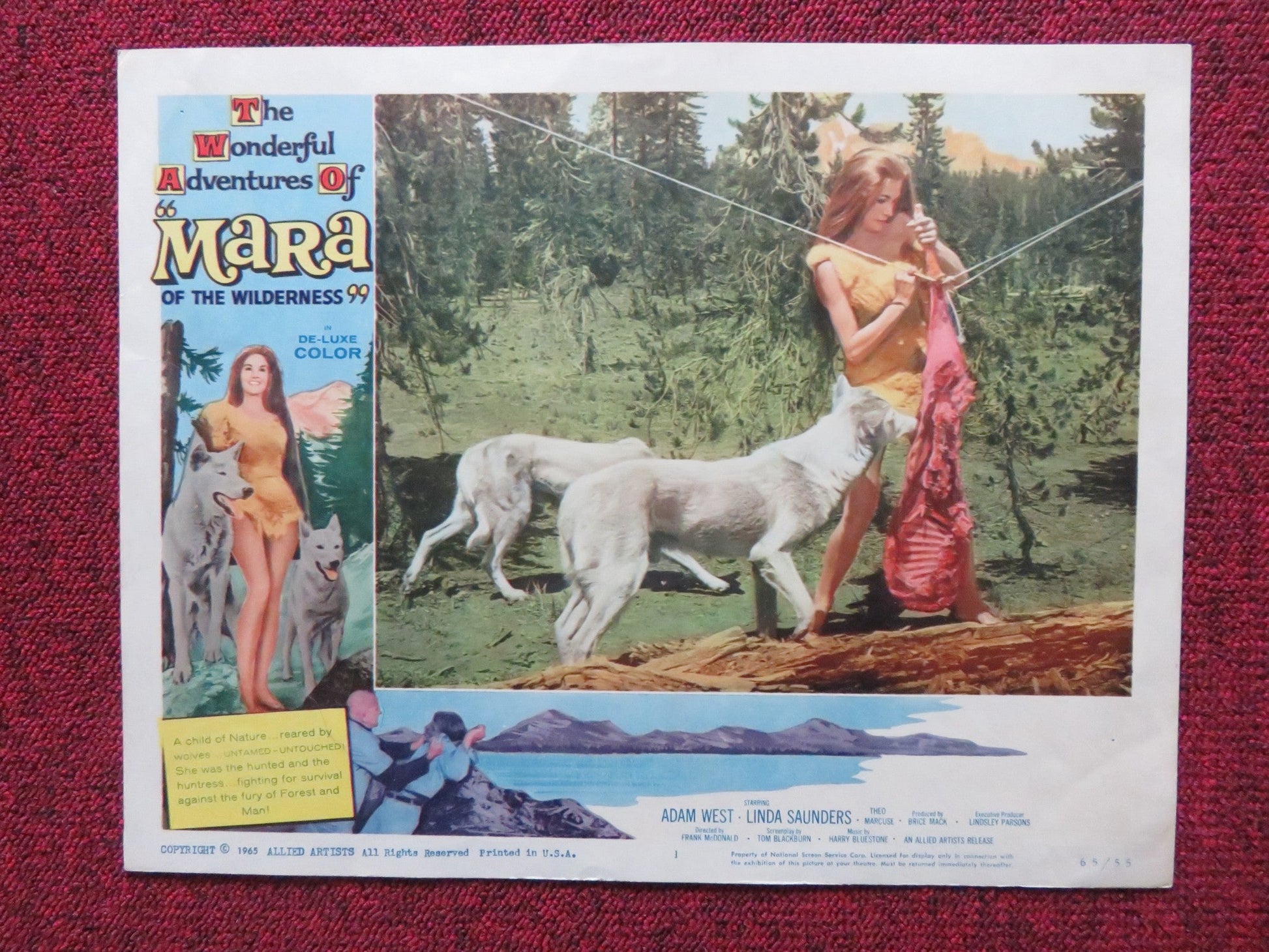 MARA OF THE WILDERNESS US LOBBY CARD SET LORI SAUNDERS ADAM WEST 1965 Rendezvous Cinema Movie posters