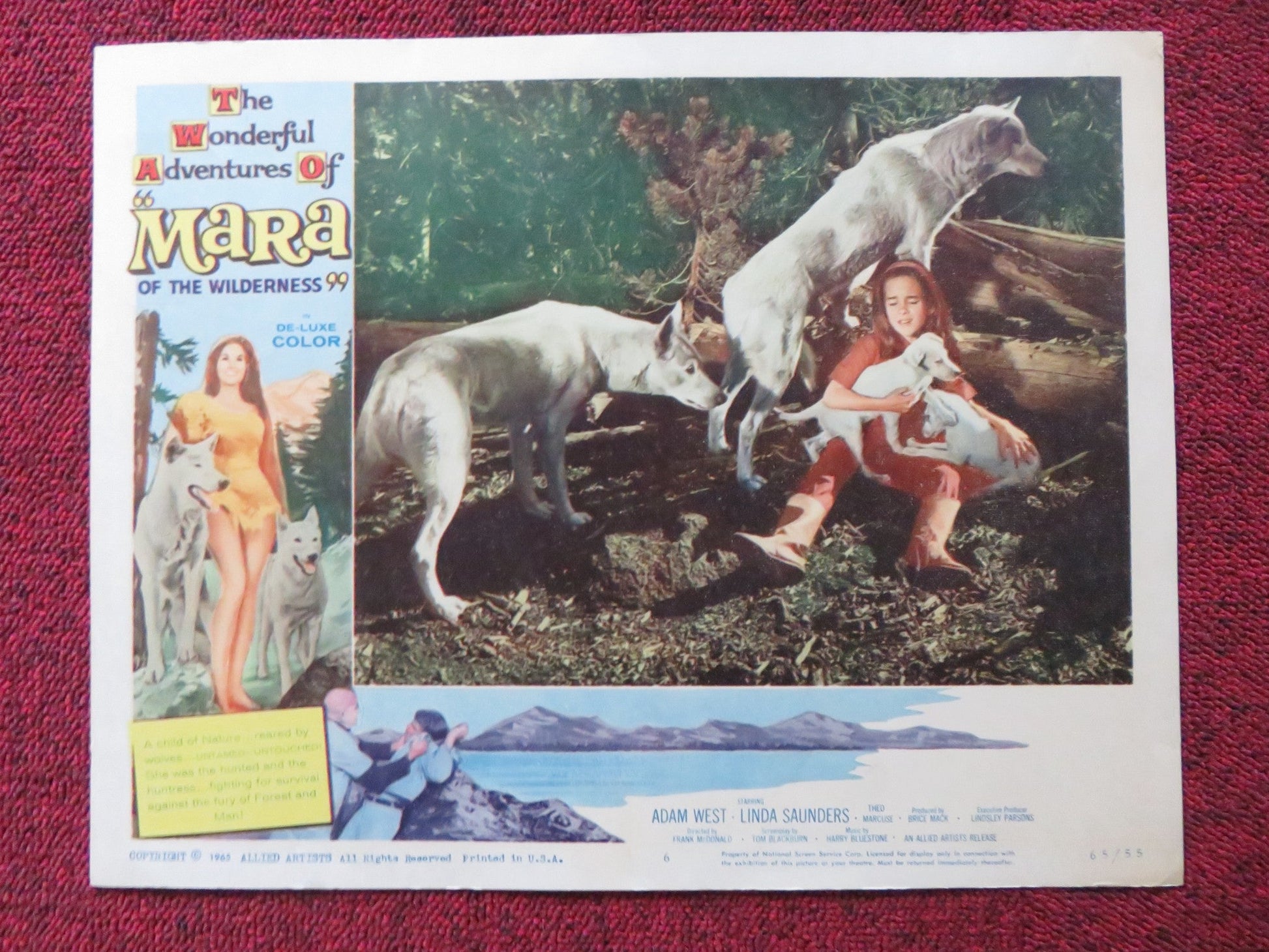 MARA OF THE WILDERNESS US LOBBY CARD SET LORI SAUNDERS ADAM WEST 1965 Rendezvous Cinema Movie posters