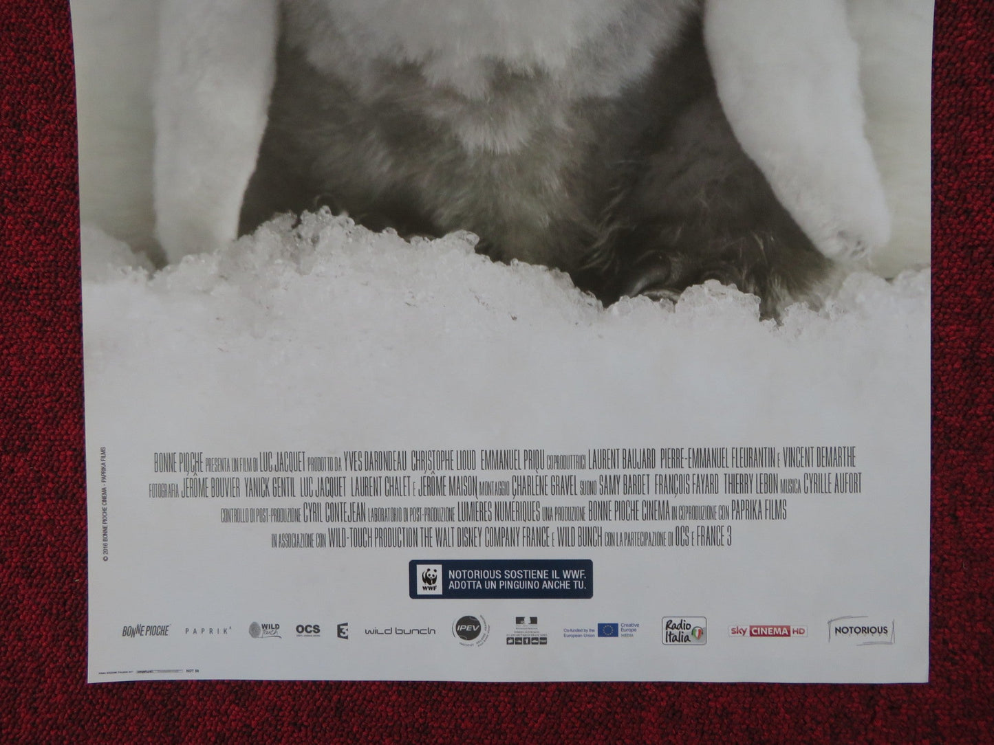 MARCH OF THE PENGUINS ITALIAN LOCANDINA POSTER LUC JACQUET 2005 Rendezvous Cinema Movie posters