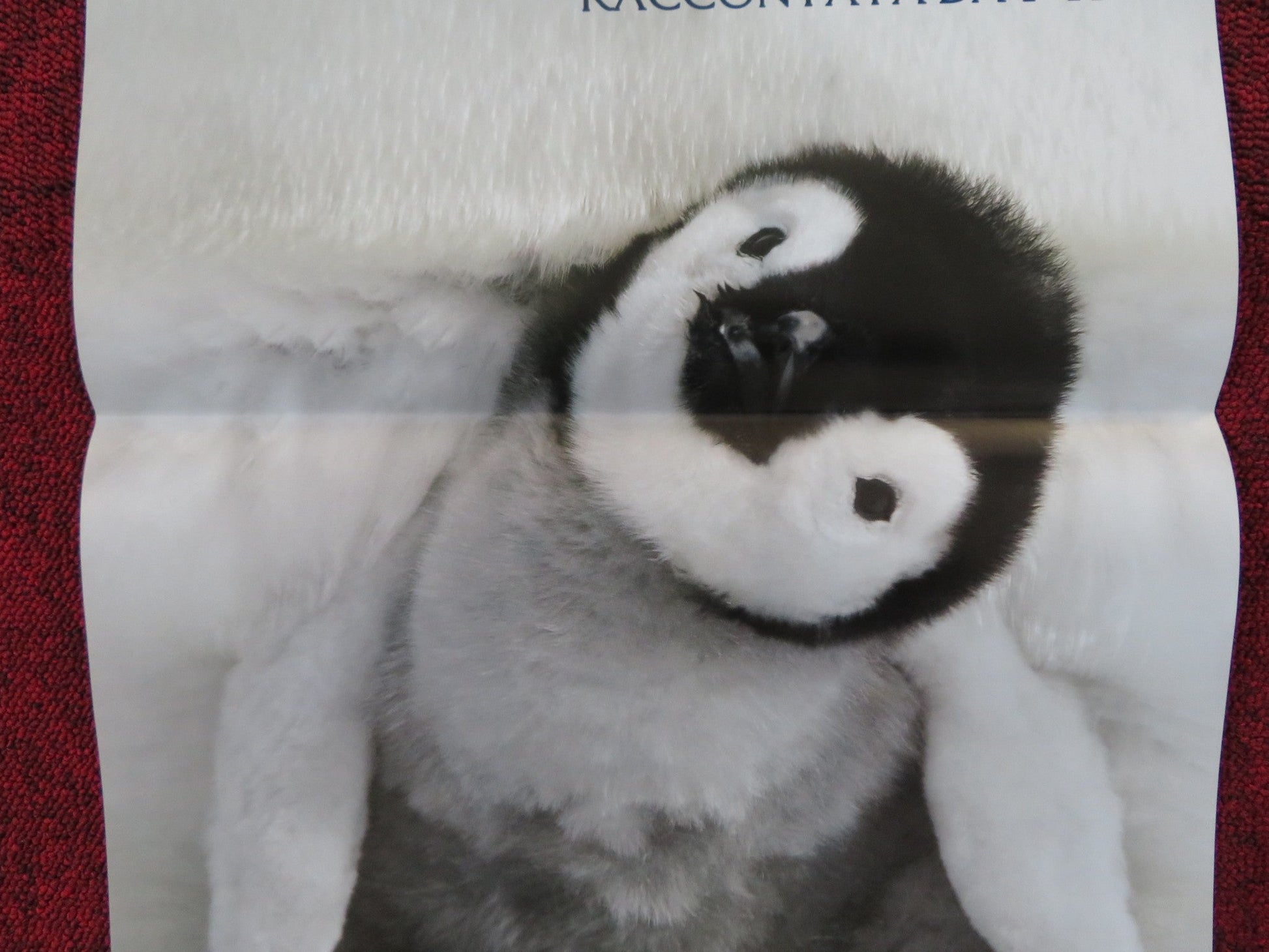 MARCH OF THE PENGUINS ITALIAN LOCANDINA POSTER LUC JACQUET 2005 Rendezvous Cinema Movie posters