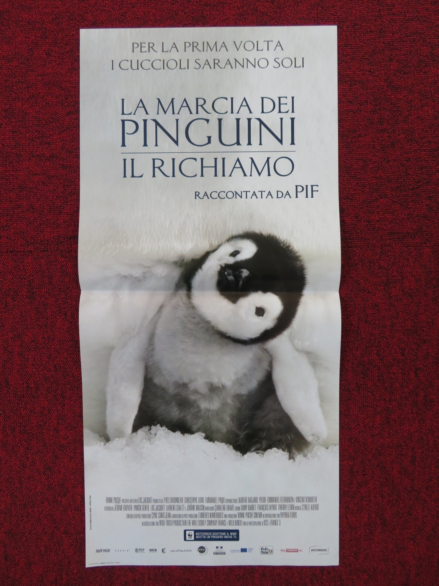MARCH OF THE PENGUINS ITALIAN LOCANDINA POSTER LUC JACQUET 2005 Rendezvous Cinema Movie posters