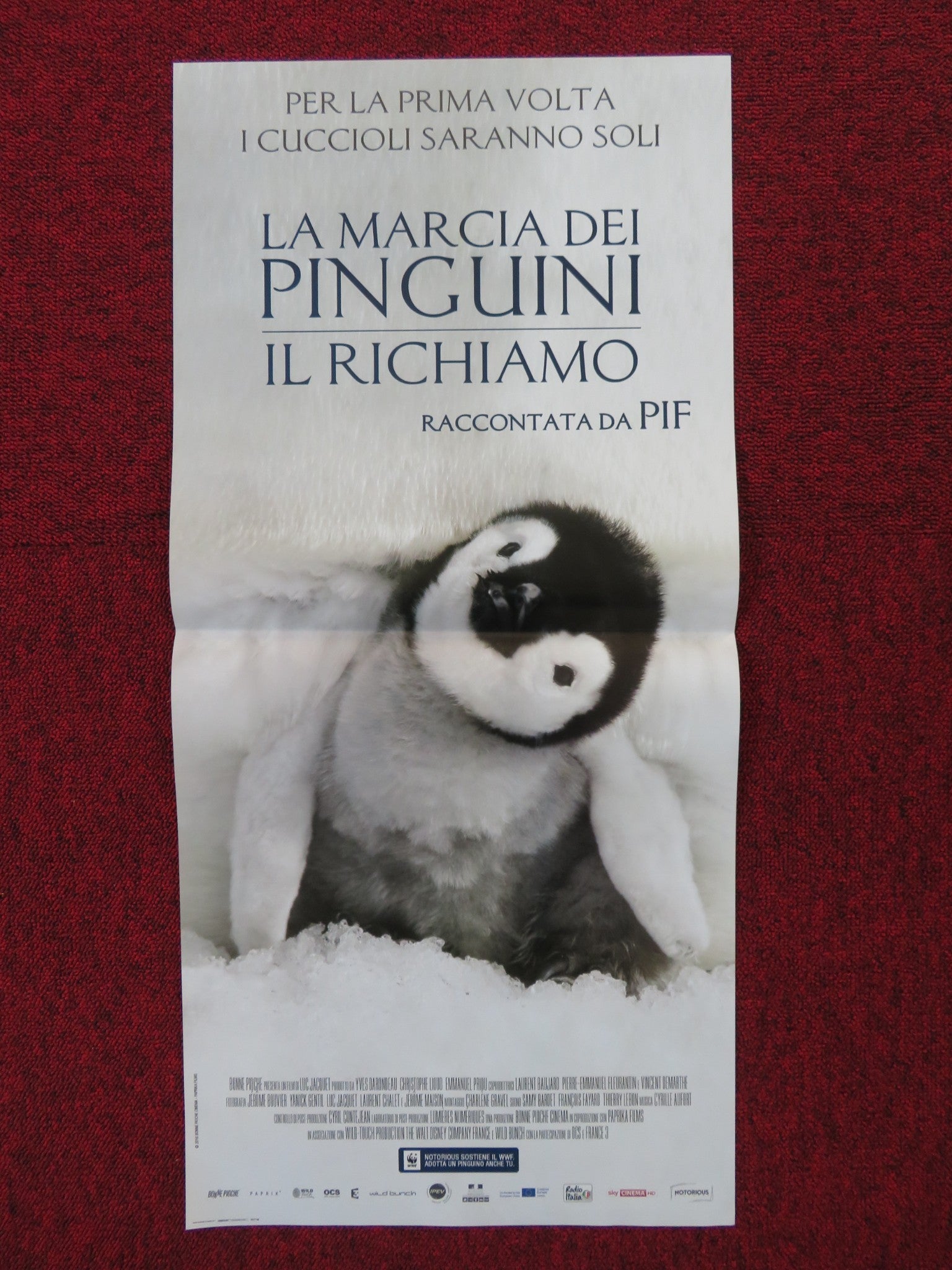 MARCH OF THE PENGUINS ITALIAN LOCANDINA POSTER LUC JACQUET 2005 Rendezvous Cinema Movie posters