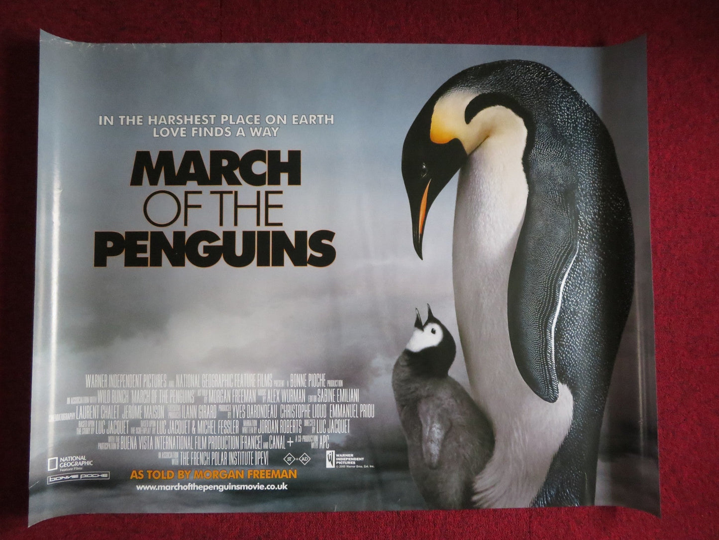 MARCH OF THE PENGUINS UK QUAD (30"x 40") ROLLED POSTER MORGAN FREEMAN 2005 Rendezvous Cinema Movie posters
