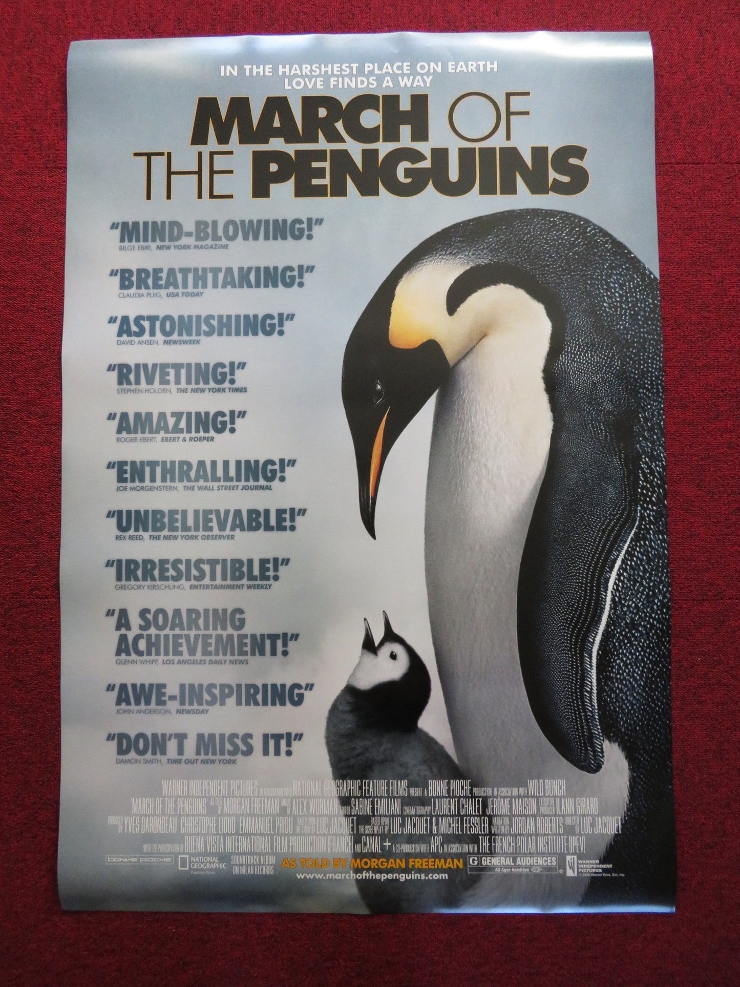 MARCH OF THE PENGUINS US ONE SHEET ROLLED POSTER MORGAN FREEMAN 2005 Rendezvous Cinema Movie posters