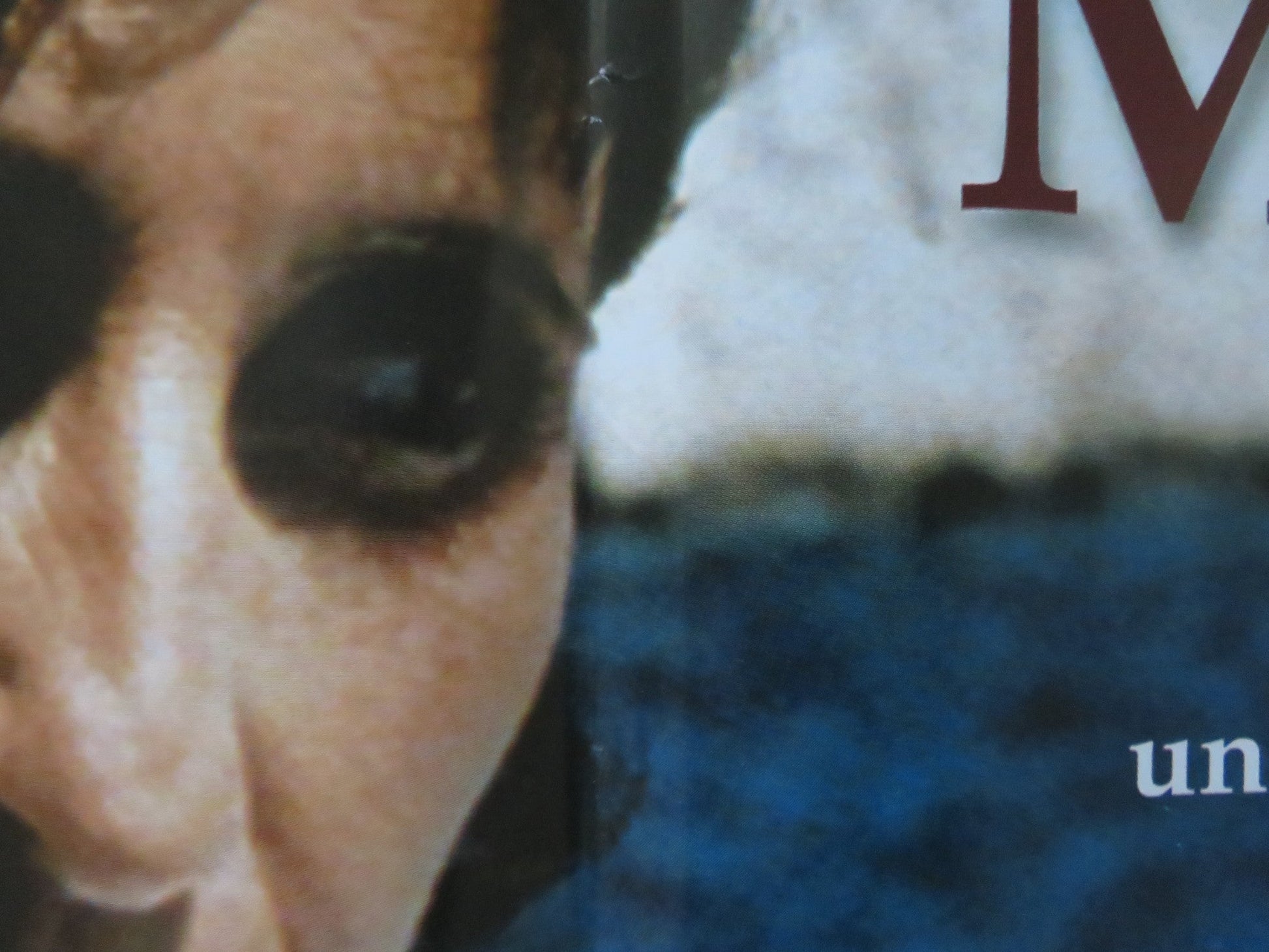 MARIE - JO E I SUOI 2 AMORI - A ITALIAN FOTOBUSTA POSTER ARIANE ASCARIDE 2002 Rendezvous Cinema Movie posters