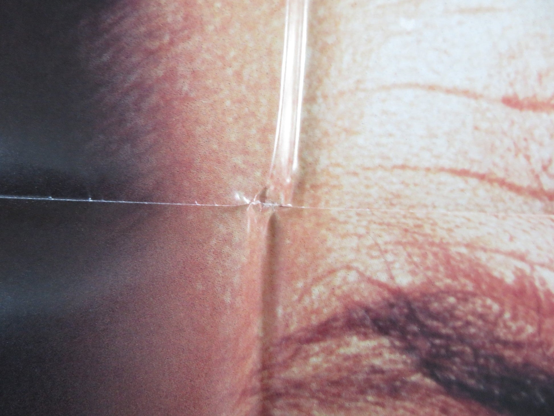 MARKED FOR DEATH - B FOLDED US ONE SHEET POSTER STEVEN SEAGAL JOANNA PACULA 1990 Rendezvous Cinema Movie posters