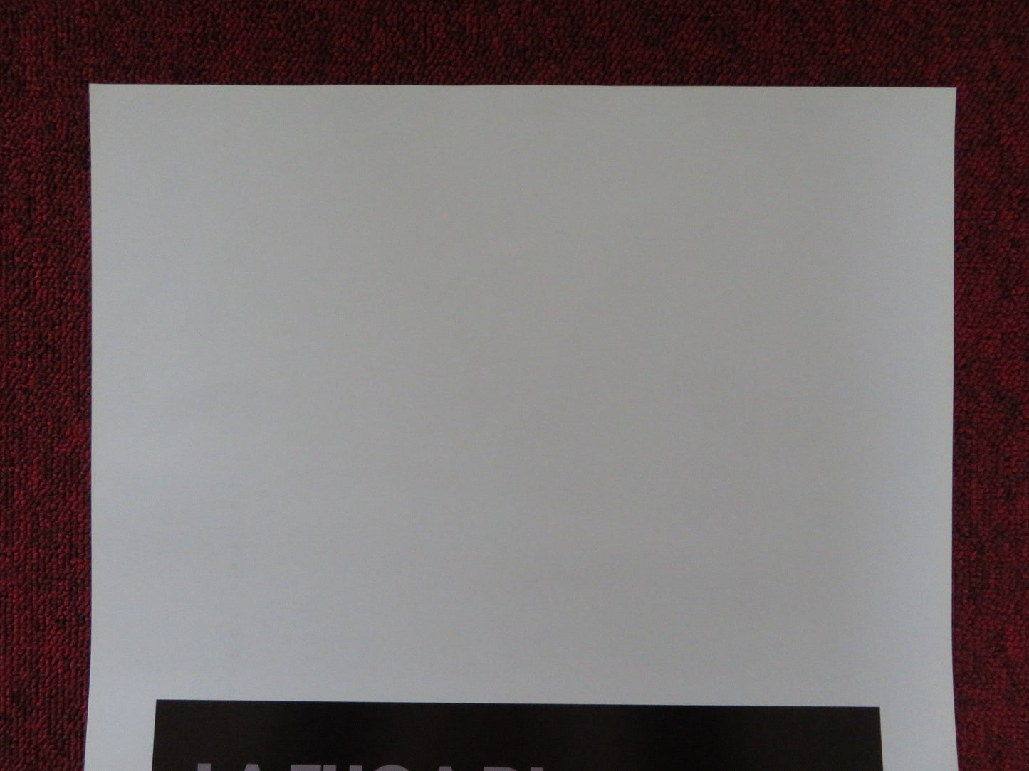 MARTHA MARCY MAY MARLENE ITALIAN LOCANDINA POSTER ELIZABETH OLSEN 2011 Rendezvous Cinema Movie posters