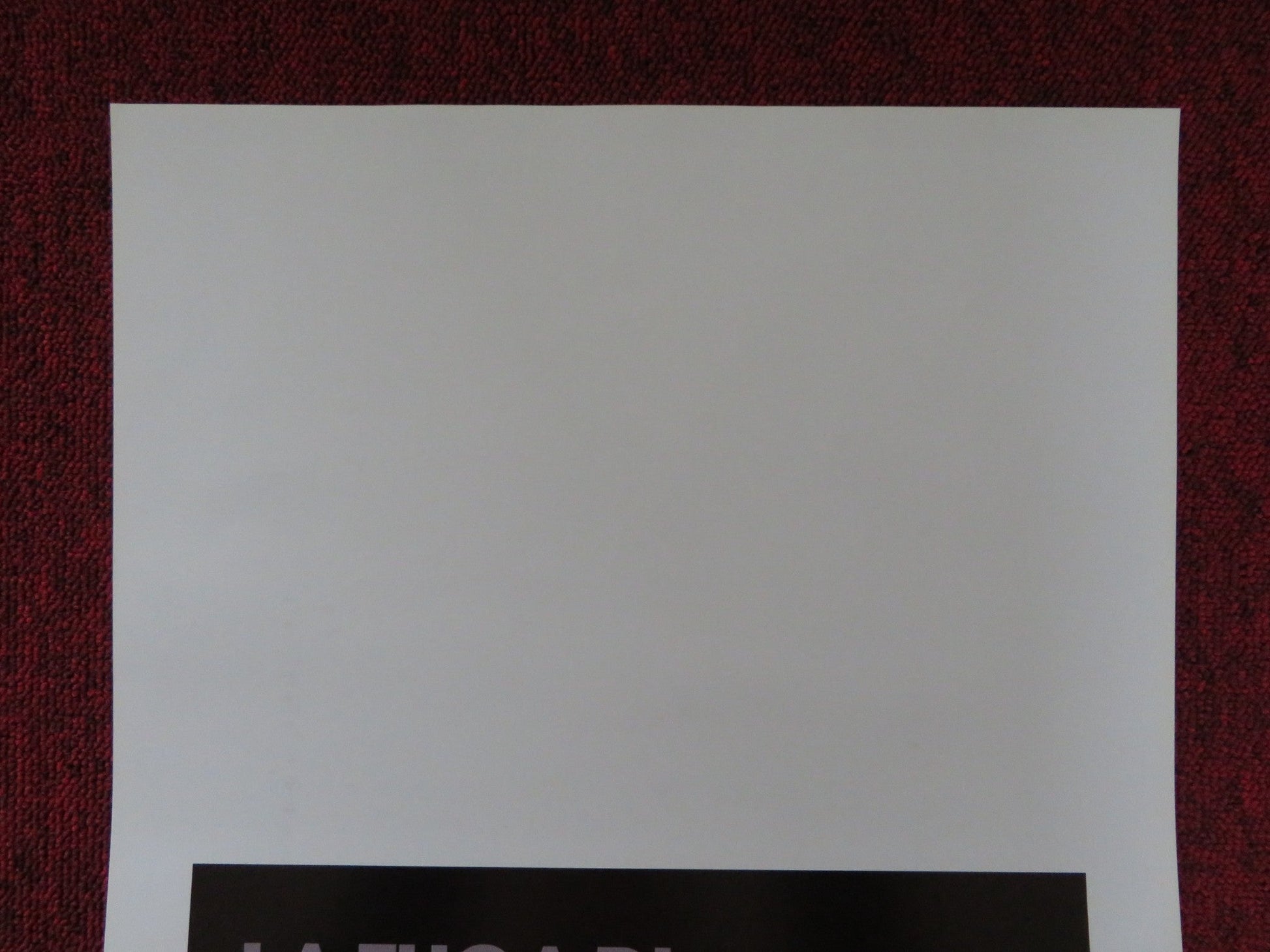 MARTHA MARCY MAY MARLENE ITALIAN LOCANDINA POSTER ELIZABETH OLSEN 2011 Rendezvous Cinema Movie posters