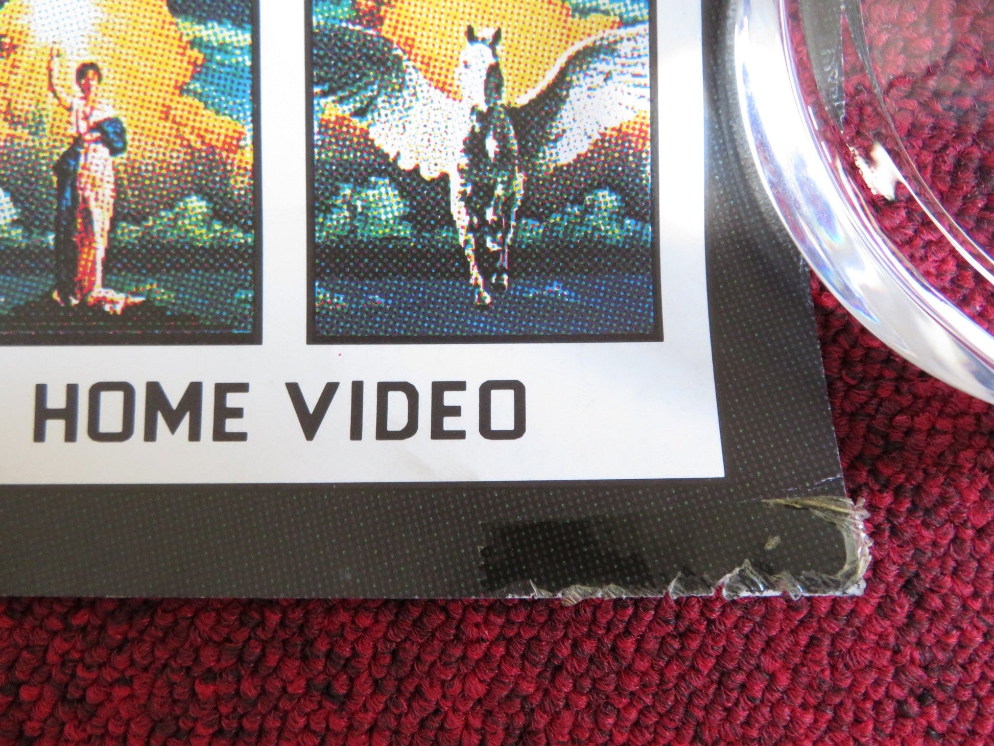 MARY SHELLEY'S FRANKENSTEIN VHS VIDEO POSTER ROLLED R. DE NIRO K. BRANAGH 1994 Rendezvous Cinema Movie posters