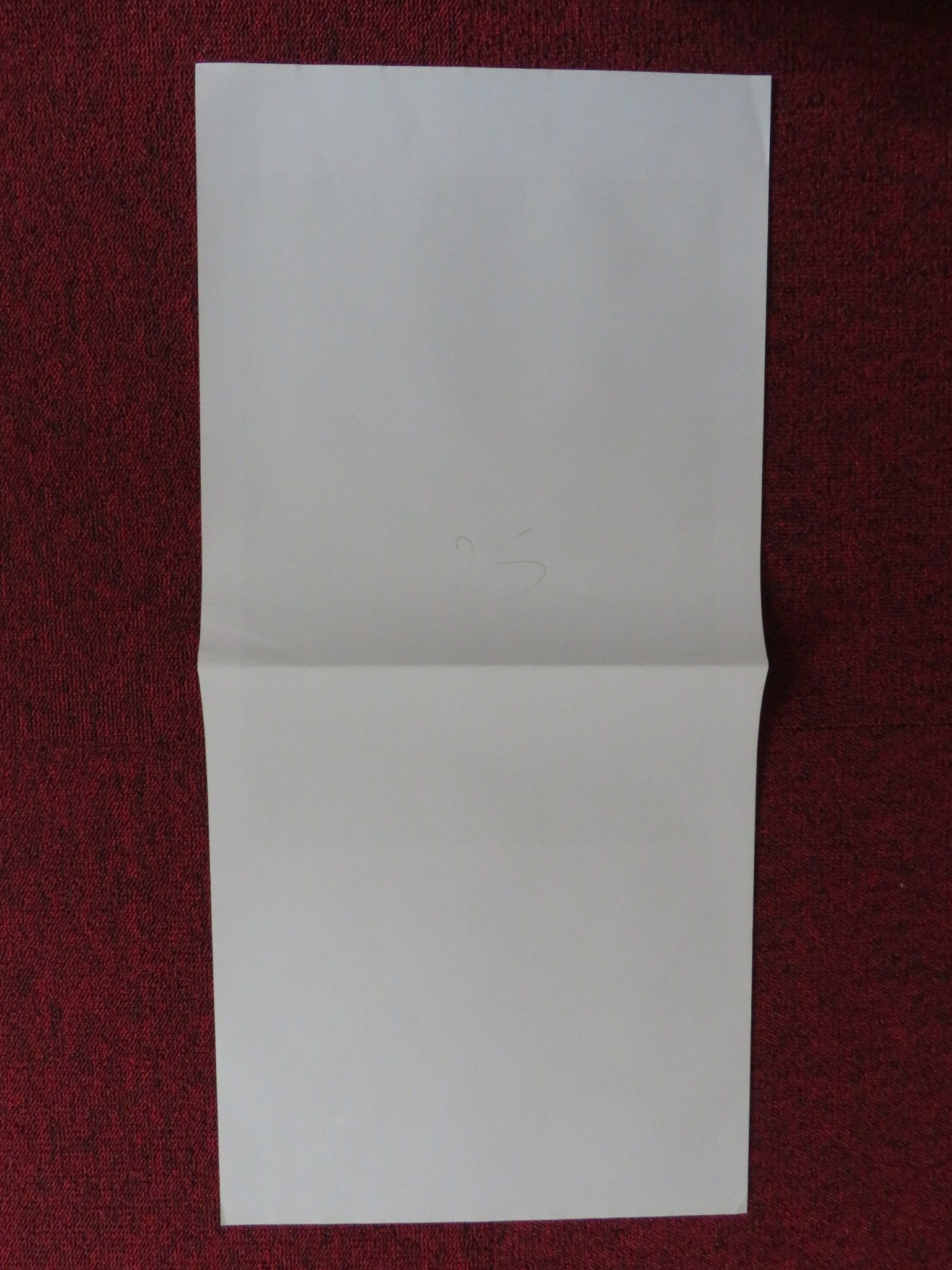 MARY'S LAND ITALIAN LOCANDINA POSTER JOHN BRUCHALSKI SILVIA BUSO 2013 Rendezvous Cinema Movie posters